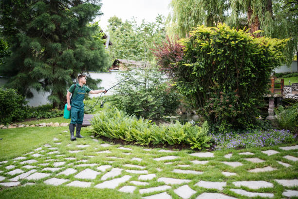 Best Pest Prevention Services  in Upper Ack, NY
