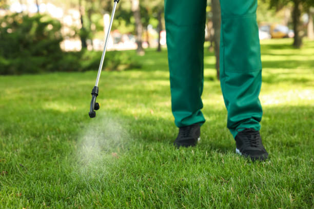 Best Flea Control Services  in Upper Ack, NY