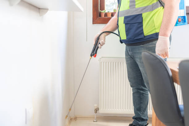 Best Local Pest Control Services  in Upper Ack, NY